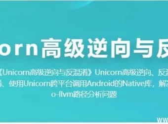 Unicorn高级逆向工程与代码反混淆课程