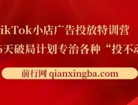 TikTok小店广告投放特训营：6天破局计划，月销百万实战干货