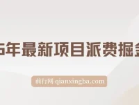 2025【派费掘金计划】项目：操作简单，收益可观