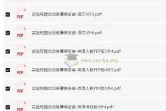 小学实验班提优训练·暑假衔接版（语数英）