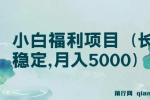 搏金汇第26课：小白福利长久稳定项目