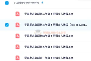 小学语文人教版各年级下册学霸期末必刷卷