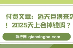 付费文章：洞察2025经济趋势，探寻未来风口