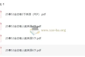 2025春3 – 6年级小学英语下册人教PEP版53全优卷（完整版）