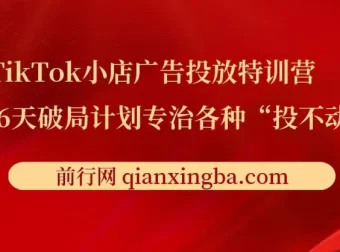 TikTok小店广告投放特训营：6天破局计划，月销百万实战干货