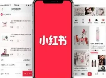 从0到1小红书商单实战训练营