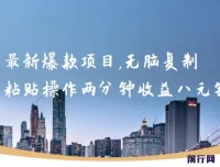 最新爆款网络项目：两分钟复制粘贴操作，轻松获利