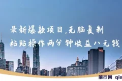 最新爆款网络项目：两分钟复制粘贴操作，轻松获利