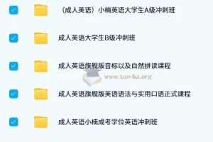 小楠成人英语：学位英语与专升本英语学习资源