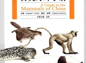 《中国兽类野外手册》：目前最全面的兽类指南
