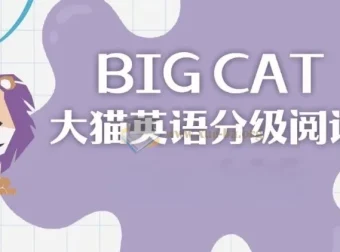 英语启蒙分级读物《柯林斯大猫Big Cat》