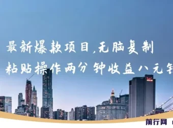 最新爆款网络项目：两分钟复制粘贴操作，轻松获利