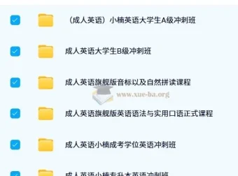 小楠成人英语：学位英语与专升本英语学习资源