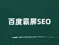 覃加波百度霸屏SEO课程