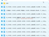 原原高单词速记：万能考试5000词轻松记忆