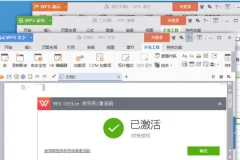 WPS Office专业增强版永久激活