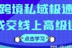 跨境私域极速成交线上高级课