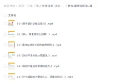 《男人性福课堂·铁牛：延时训练与硬度改善课程》