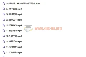 李伟幼小思维书写精品课