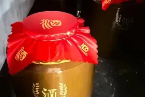 各类酿酒教程：视频与PDF资料合集