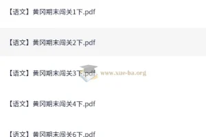 黄冈期末小学语文闯关1 – 6年级下册学习资料