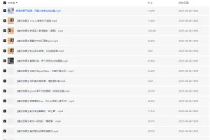 赖世雄美式发音学习课38讲