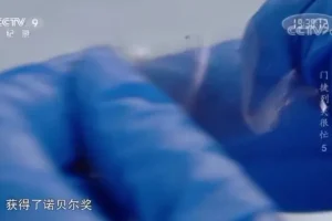 《门捷列夫很忙》：儿童化学启蒙纪录片全集