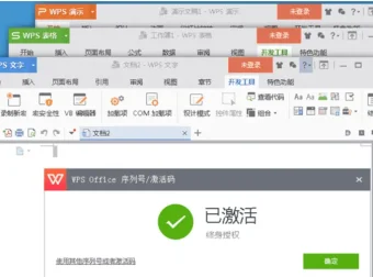 WPS Office专业增强版永久激活