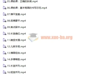 李伟幼小思维书写精品课