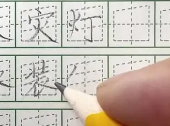 飞楷练字9合1全体系课程：快速提升书法技巧