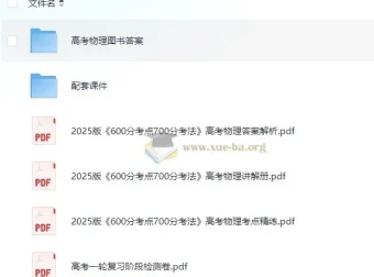 理想树《600分考法700分·高考物理（2025版）》