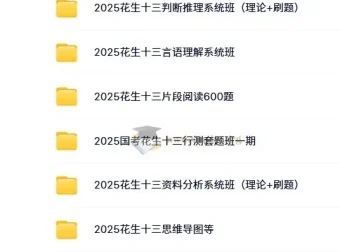 2025年国家公务员考试花生十三行测/申论系统班