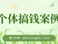 新个体搞钱案例库：29节视频与文档助你赚得第一个100万