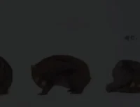 小奇绘本故事大全