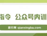 AI指令公众号内训课：掌握AI指令与公众号底层逻辑（7节课）