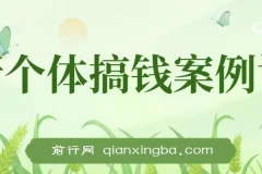 新个体搞钱案例库：29节视频与文档助你赚得第一个100万