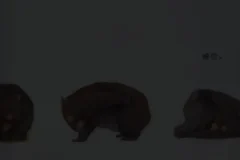 小奇绘本故事大全