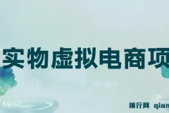 全网首创实物虚拟电商项目，成本低收益高