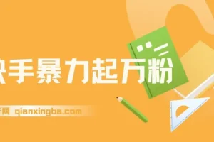 快手暴力起万粉课程：一星期涨粉，多种变现模式开启