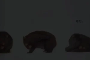 小奇绘本故事大全