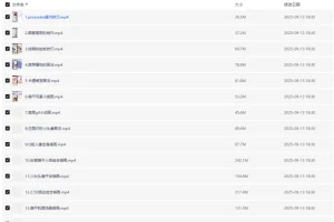 汪紫薇零基础iPad插画技法实训课程