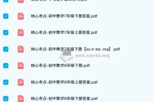 核心考点-初中数学