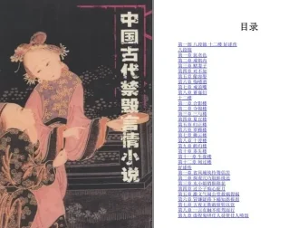 《中国古代禁毁言情小说》套装18册：领略古代禁毁言情魅力