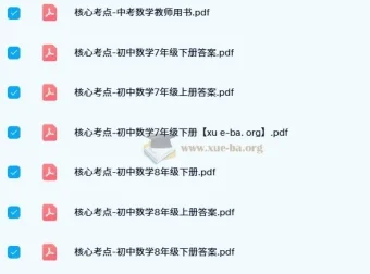 核心考点-初中数学