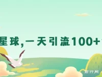 利用星球，一天引流100+创业粉！最新渠道项目