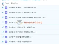 金亦姗高三高考语文寒假班课程