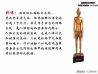 男士健康：高思楠补肾宝典课程