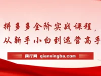 拼多多全阶实战课程：从新手小白到运营高手，海量实战玩法全年实时更新