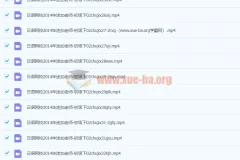 早道日语迷加老师日语初级下视频教程