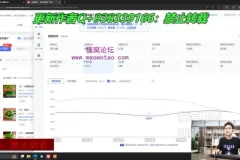 纪主任2024年7月拼多多运营实战课：诊断分析与无损拖价术